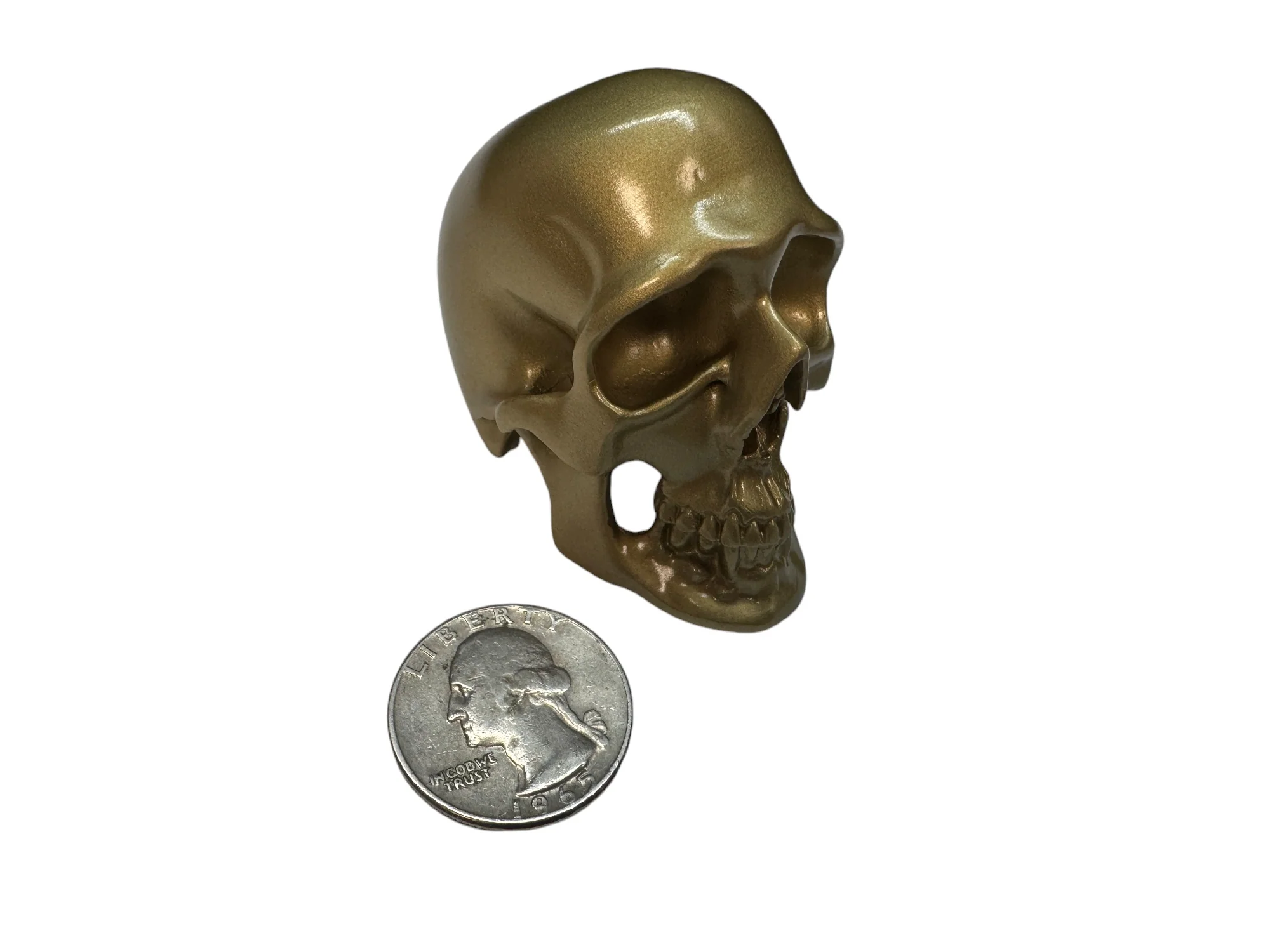 Brass Omni-Mount Colossus Skull by Maratac® - Image 4