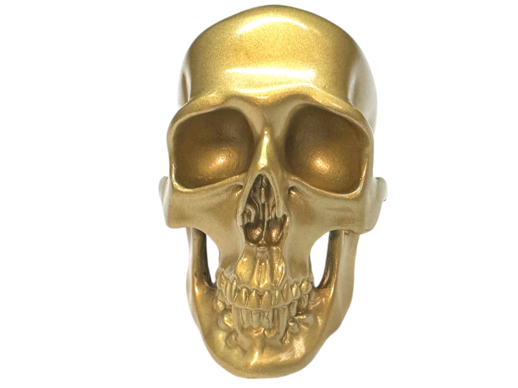 Brass Omni-Mount Colossus Skull by Maratac® - Image 5