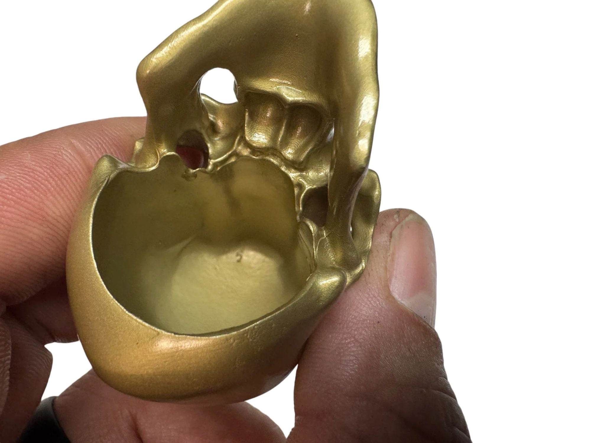 Brass Omni-Mount Colossus Skull by Maratac® - Image 7