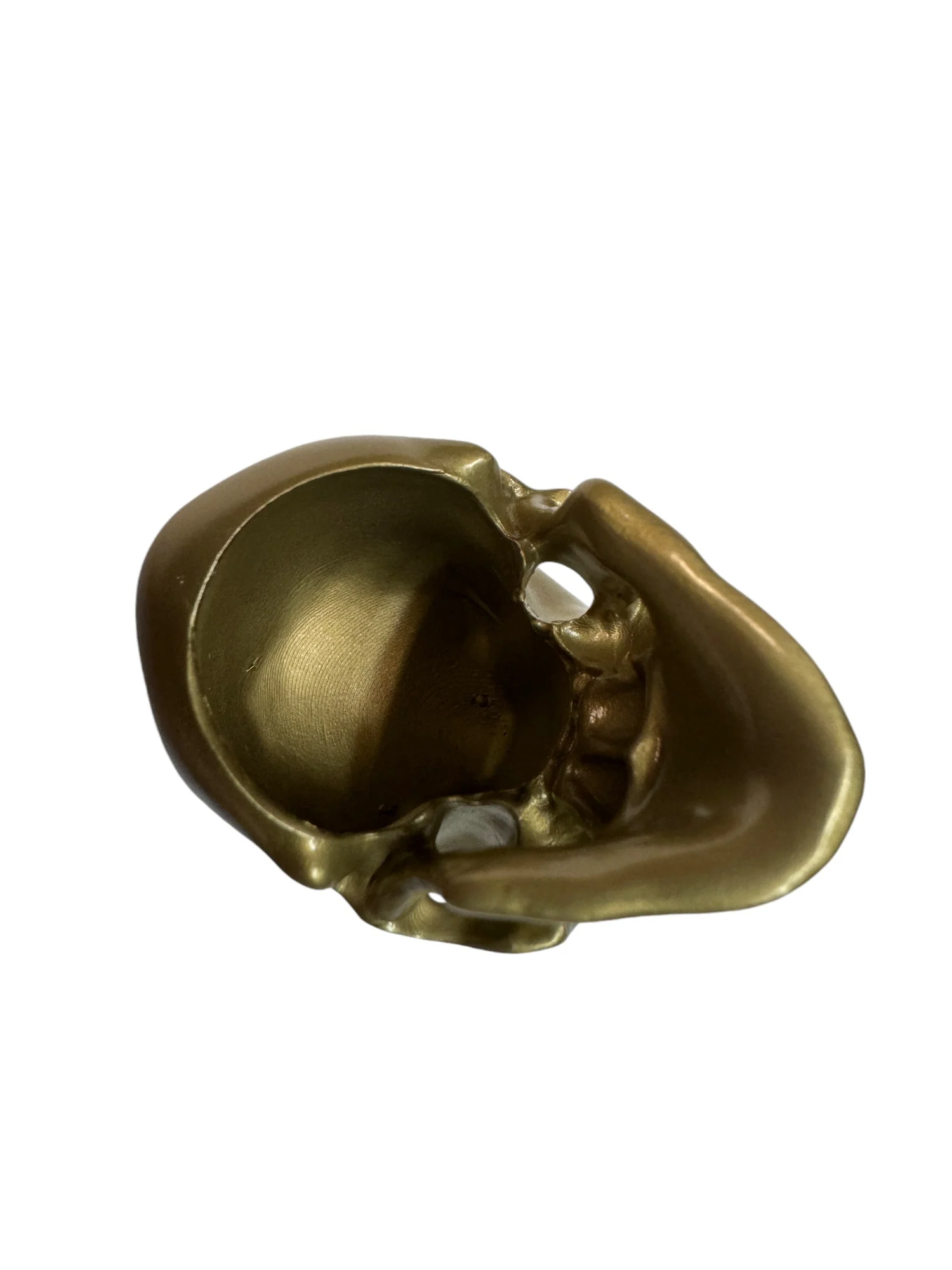 Brass Omni-Mount Colossus Skull by Maratac® - Image 9
