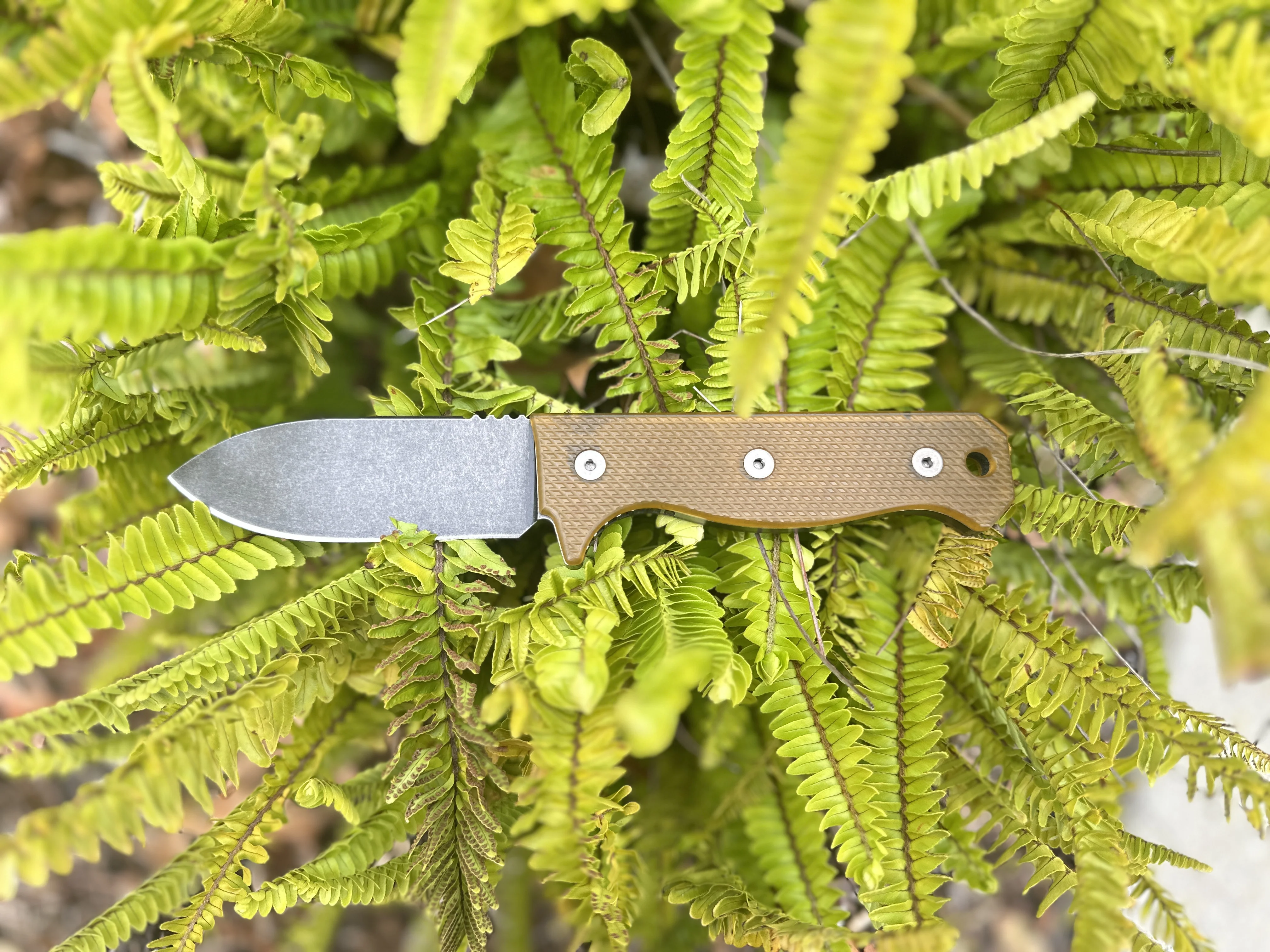 R4A - Ready 4 Action Knife / D2 Fixed Blade ( Ultem® Scales ) - Image 4