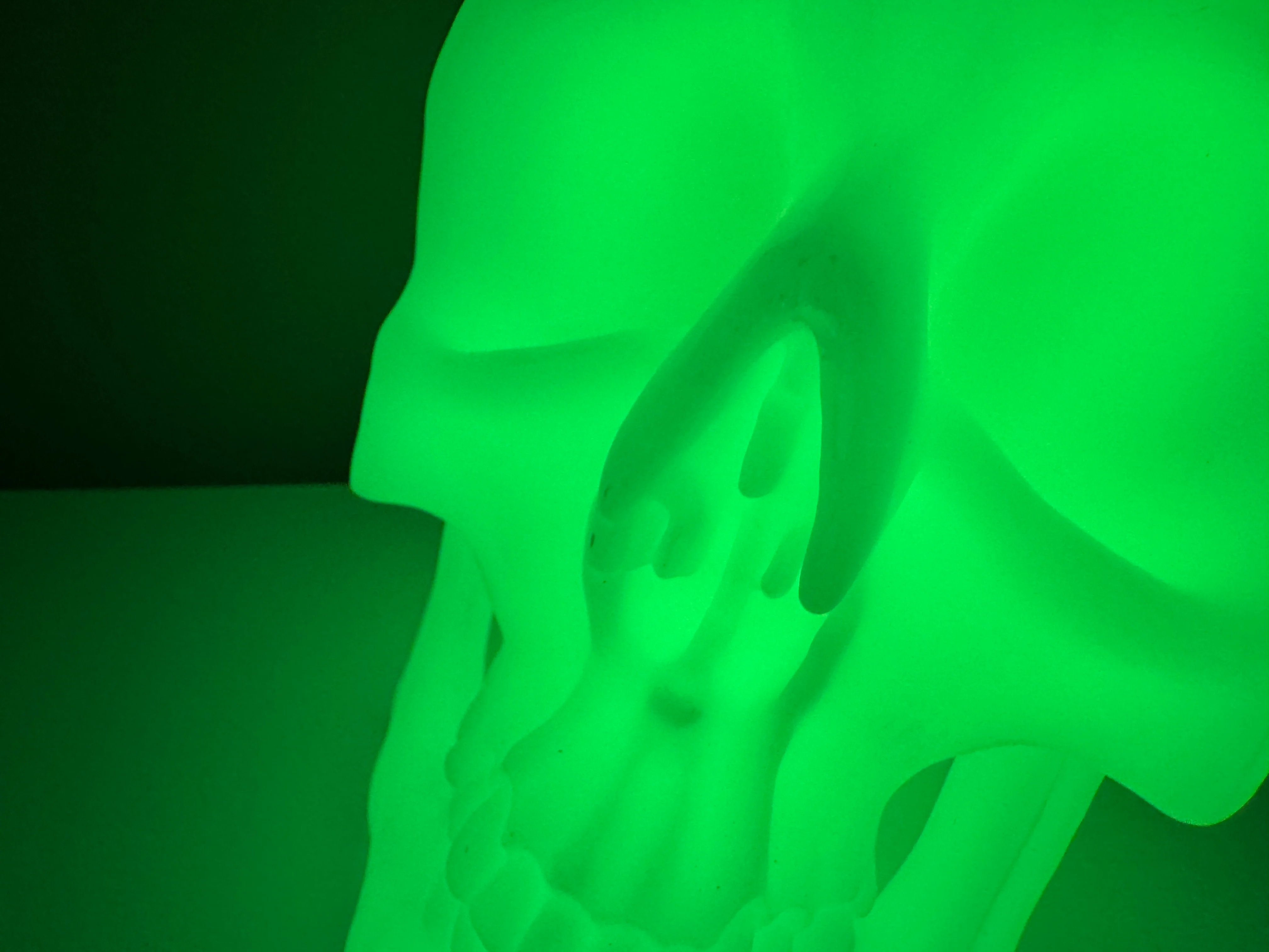 The "Big One" Glow UGM Skull by Maratac® - Limited Edition - Image 6